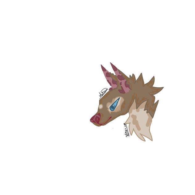wolf draw