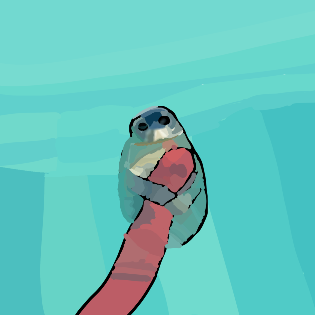 アザラシ☺️