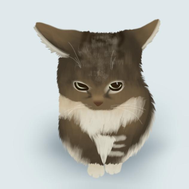 Kitten