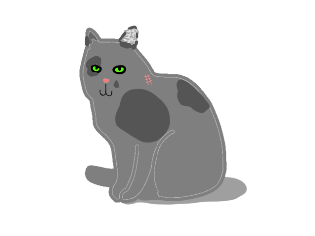 Meawing cat (Animated)