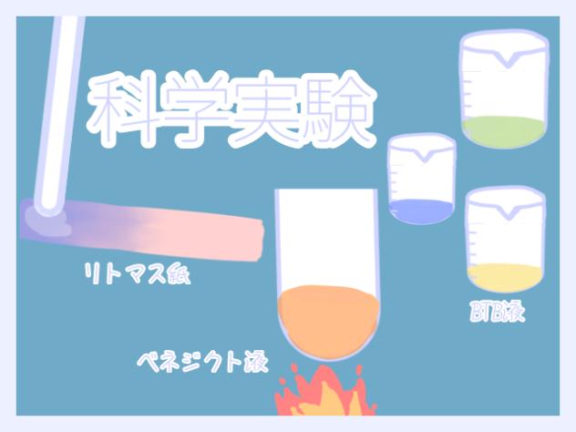 科学実験