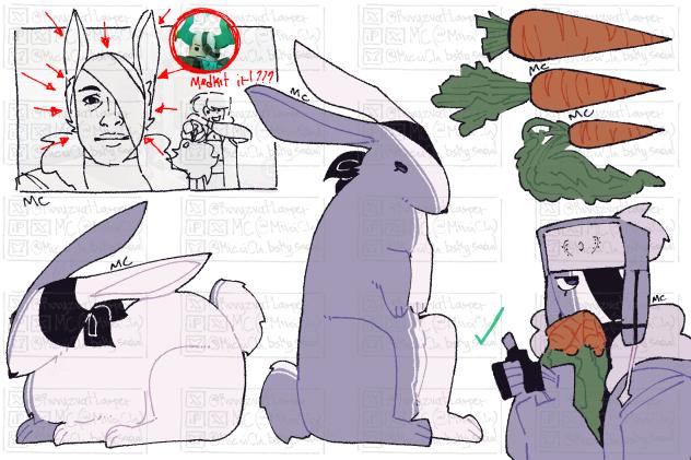 bunny bunny bunny bunny bunny bunny bunn