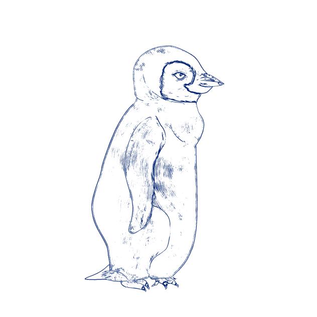 Penguin