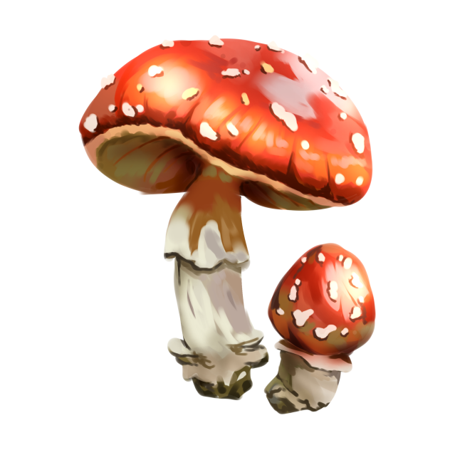 mushrooms