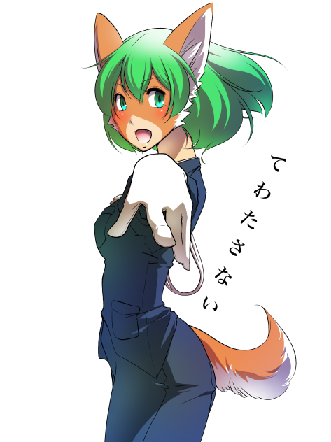テワタサナイーヌ