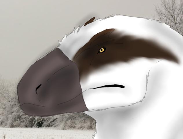 Yutyrannus redraw