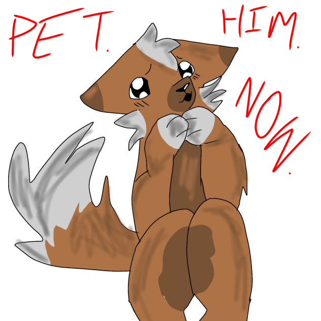 rocky wants head pats please