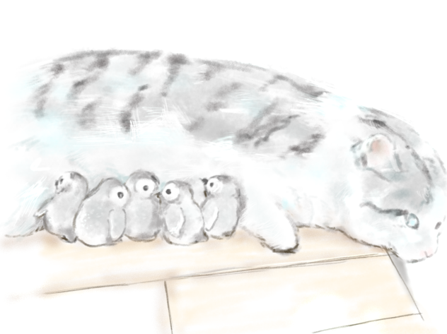 わーい！もふもふだー