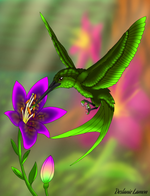 Humming Bird And Lillies In The Forest