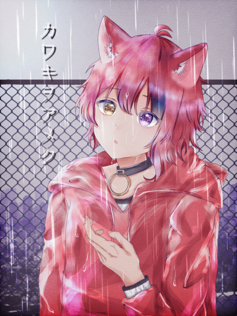 カワキヲアメク 莉犬くん