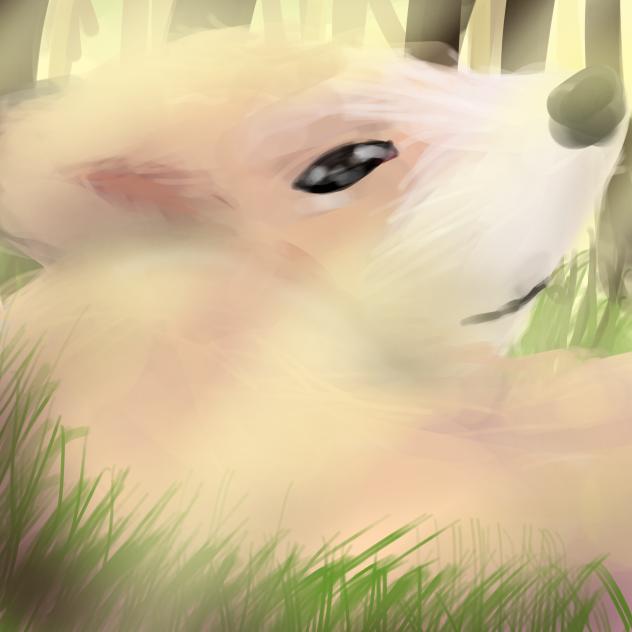 ✨🌟•Realistic CORGI!!!•🔶✨