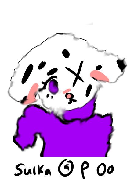 Comp entry Lilly