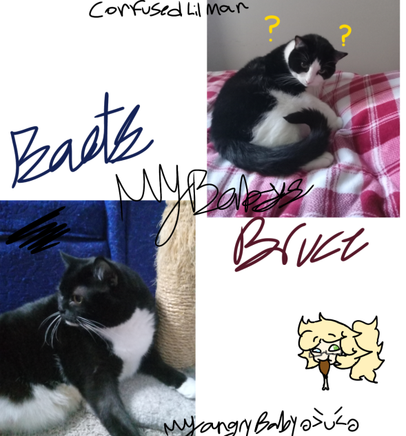 My Baby's ✨️✨️