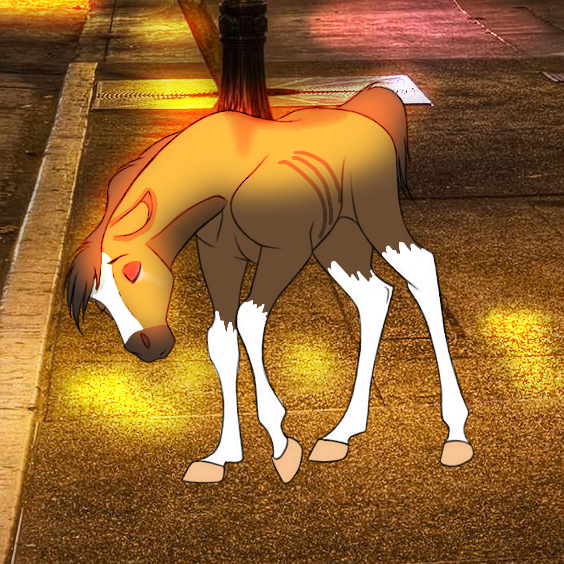 `` Why did they leave.. ``