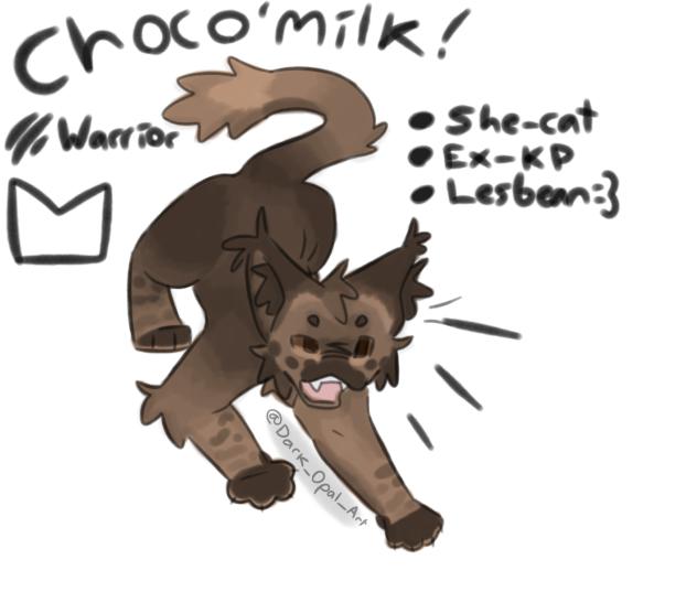 Choco'milk!🍫