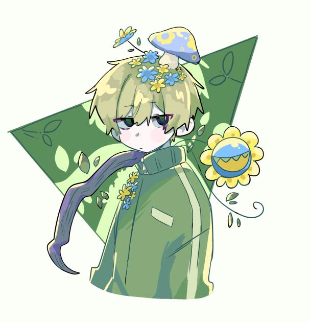 植物