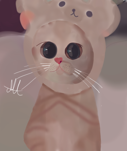 😺🐻 Michi osito