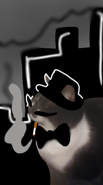 kitty cat - ibisPaint