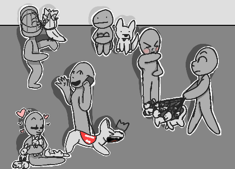 pet collab