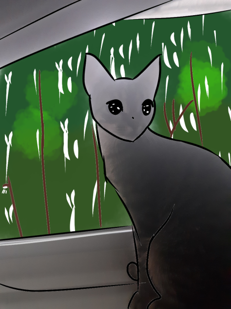 my kitten - ibisPaint