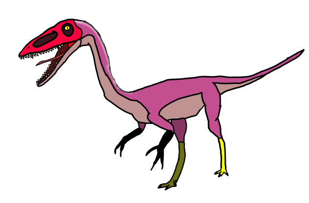 Coelophisis