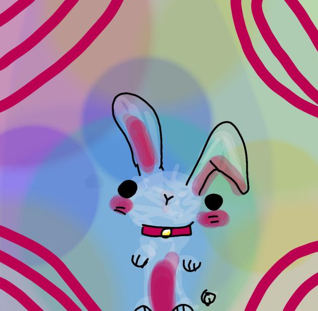 bunni