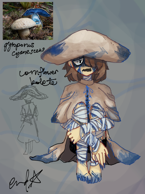 funguary 2023 day4; cornflower bolete