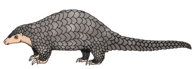 Chinese Pangolin big ver2