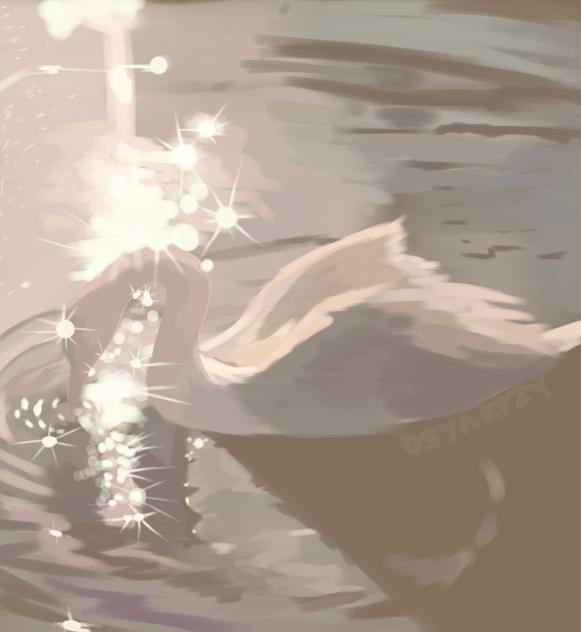 swan in lake