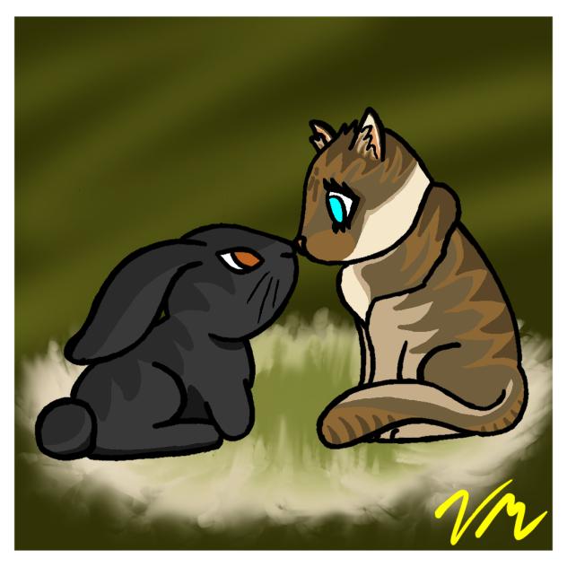 Hare and Tabby