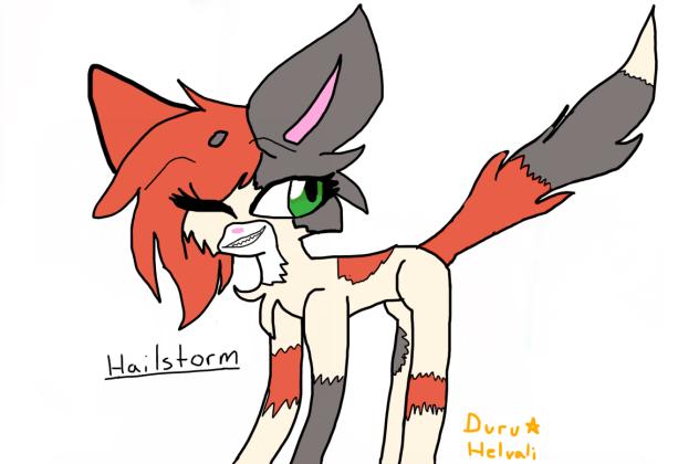 Warrior Cats Hailstorm