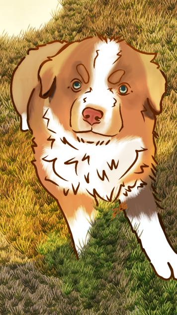 ✨️puppy ✨️