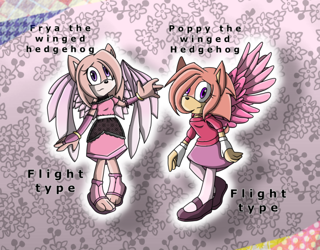 Frya and poppy The winged hegdehogs