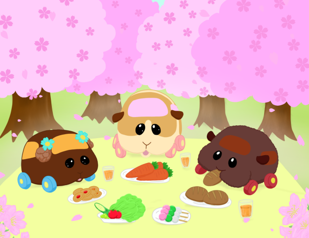 モルカーのお花見