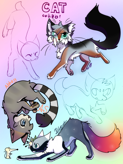 Cat Collab followed by Abbey Salsman!