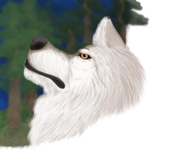 Wolf Realism Attempt (with background)