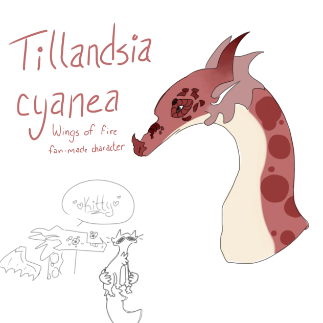 WoF Oc