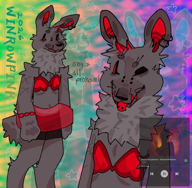 rabbit