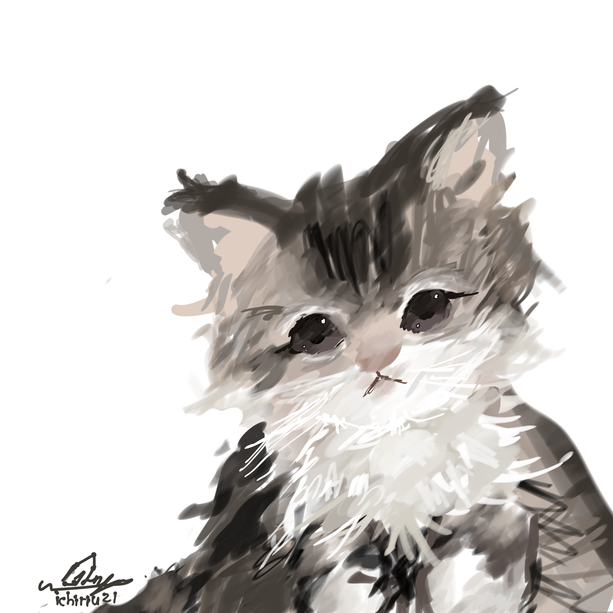 Kitten 🐈🖤 - ibisPaint