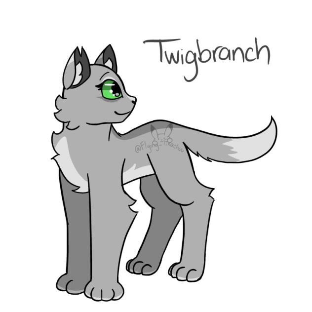 Twigbranch 4 Twigbranch_warrior_cat