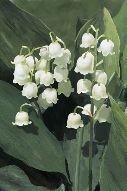 i forgot what these are called
