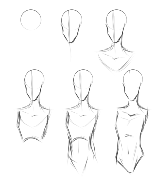 Head torso tut! - ibisPaint