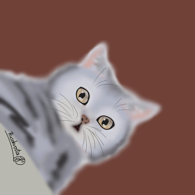 моя кошка Марла