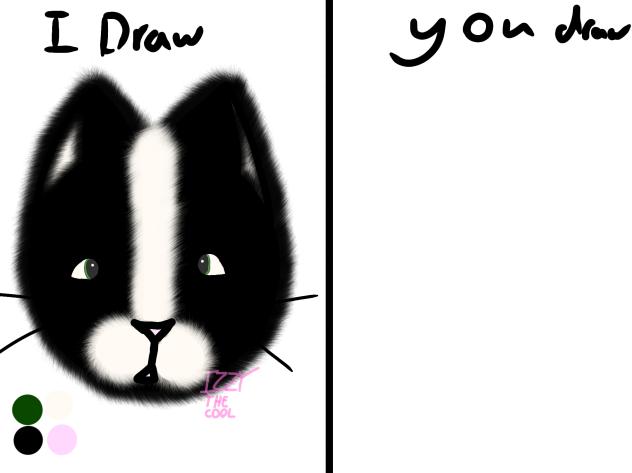 I draw you draw cat
