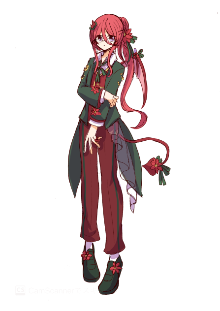 クリスマスカラー ノアン