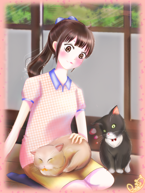 🐱💤
