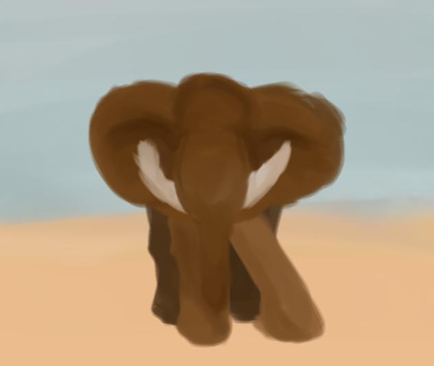 象