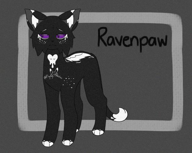 Ravenpaw 🐾