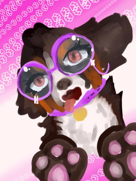 dog ✨