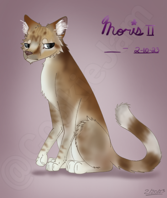 Moris II (gift)
